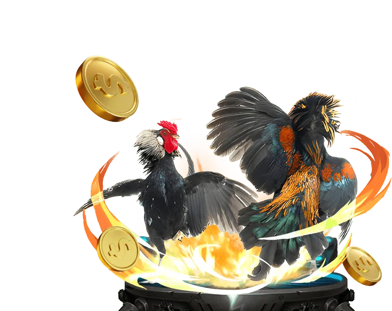 Giao diện hướng dẫn đặt cược đá gà trên Bayvip